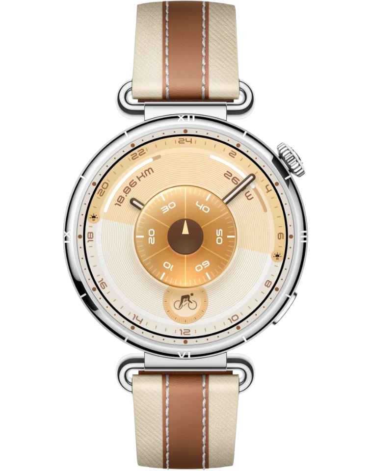 HUAWEI WATCH GT 6 41mm brown